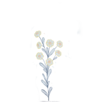uiu